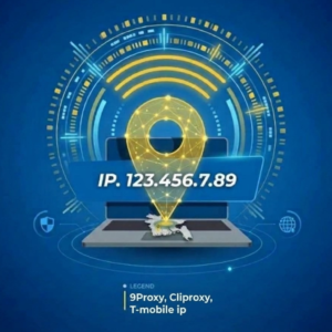 IP Image